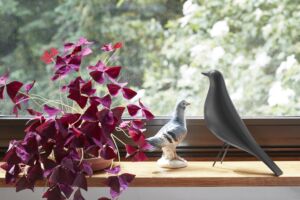 Inform — Eames House Bird